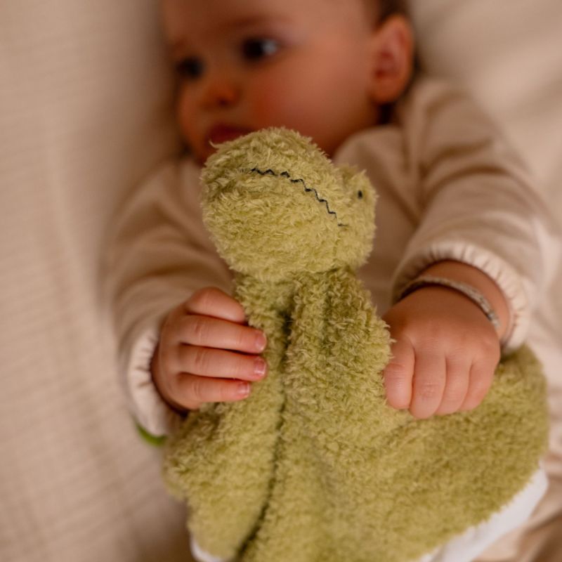 Doudou Rex le Tyrannosaure Little Big Friends Ambiance 8