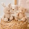 Peluche musicale Teddy Lapin Beige (22 cm) Nattou Ambiance 3
