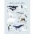 Variation Bleu, blanc du produit Affiche Animaux des Pôles Nord et Sud (30 x 40 cm) de la marque Lilipinso