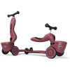 Porteur évolutif en Highwaykick 1 Lifestyle Wildcat Scoot and ride Produit 1
