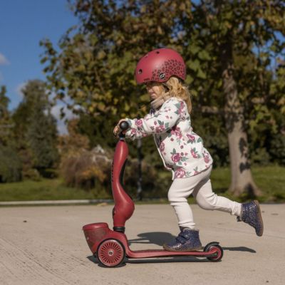 Porteur évolutif en Highwaykick 1 Lifestyle Wildcat