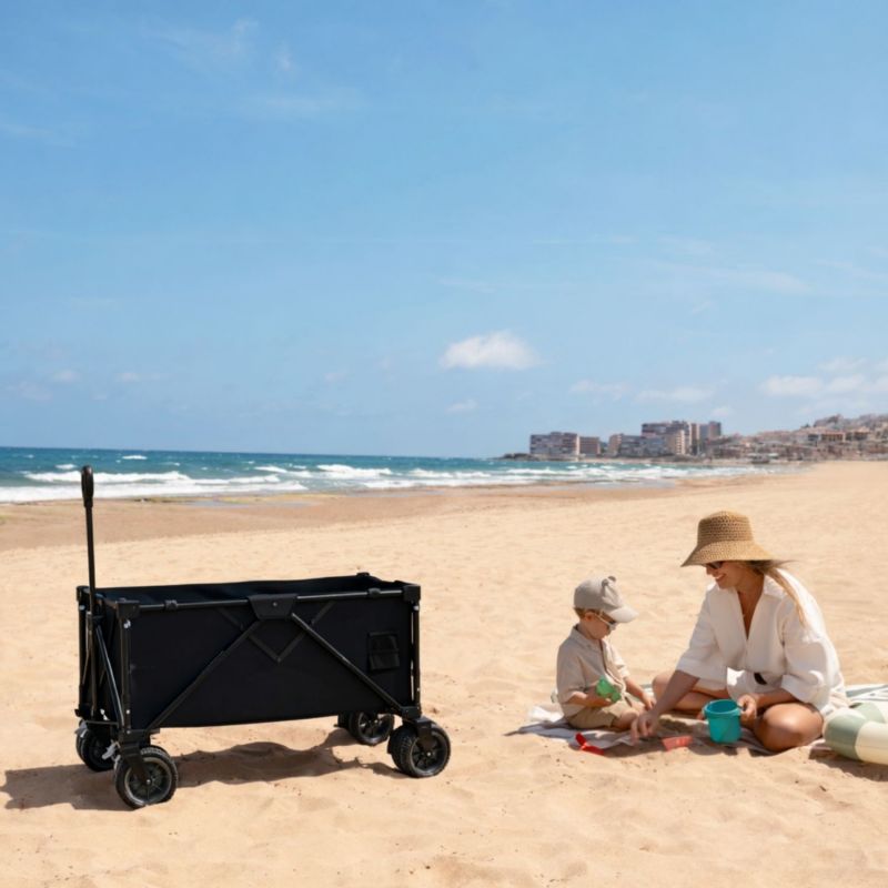 Chariot de transport Rollster Mystic Black Kinderkraft Ambiance 2