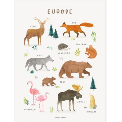 Affiche Animaux d'Europe (30 x 40 cm)  par Lilipinso