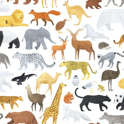 Papier peint Animalia (50 cm x 10 m)