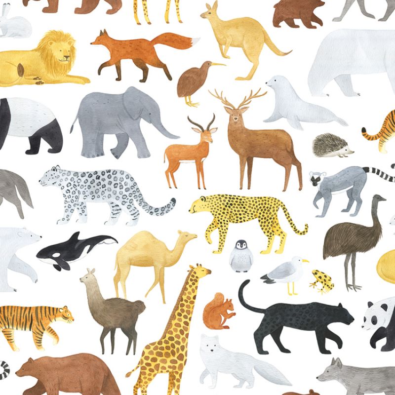 Papier peint Animalia (50 cm x 10 m) Lilipinso
