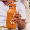 Gourde renard Mr. Fox (350 ml) Trixie Ambiance 8
