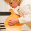Lampe veilleuse Gland Terra Egmont Toys Ambiance 2