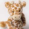 Peluche Bashful Girafe (31 cm)  par Jellycat