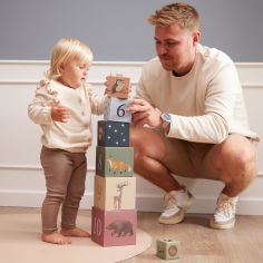 Cubes à empiler Animaux nordiques