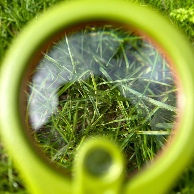 Méga loupe Découverte du Monde Trousselier Ambiance 3