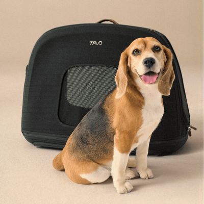 Caisse de transport pour animaux de compagnie CRISPIN S ONYX (jusqu'à 22,7 kg)