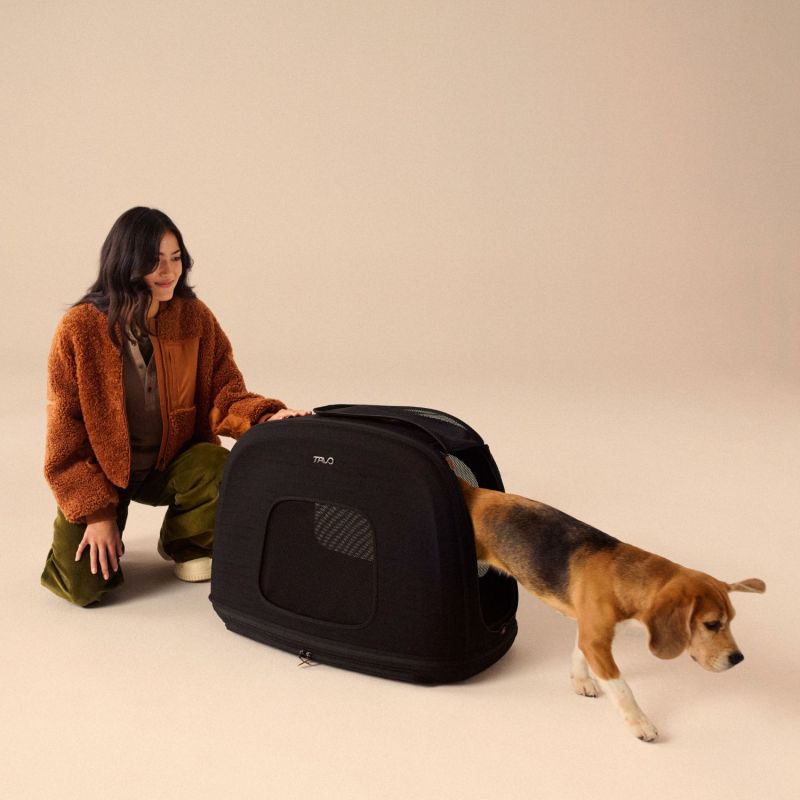 Caisse de transport pour animaux de compagnie CRISPIN S ONYX (jusqu'à 22,7 kg) Tavo Ambiance 7