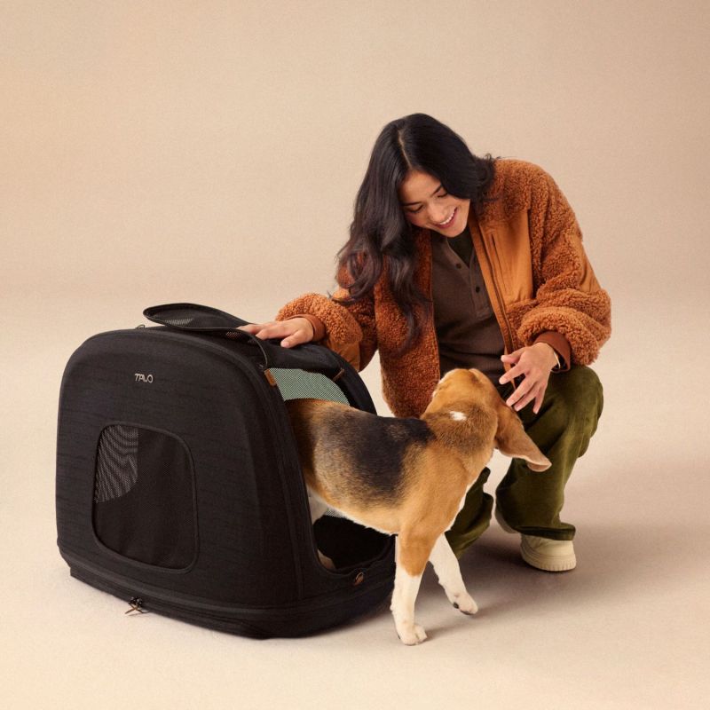 Caisse de transport pour animaux de compagnie CRISPIN S ONYX (jusqu'à 22,7 kg) Tavo Ambiance 8