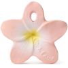 Mini jouet de dentition Bella the flower Oli & Carol Produit 1