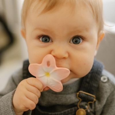 Mini jouet de dentition Bella the flower