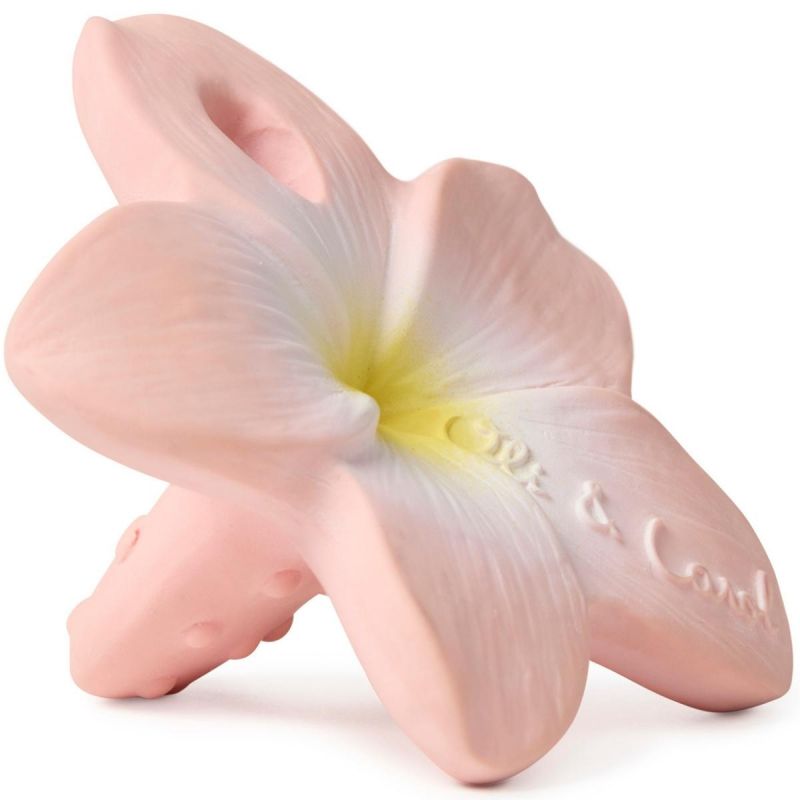 Jouet de dentition  Bella la fleur Oli & Carol Produit 3