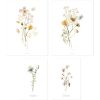 Lot de 4 affiches Botanical flowers - Lilipinso
