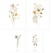 Lot de 4 affiches Botanical flowers