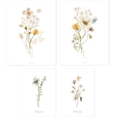 Lilipinso - Lot de 4 affiches Botanical flowers