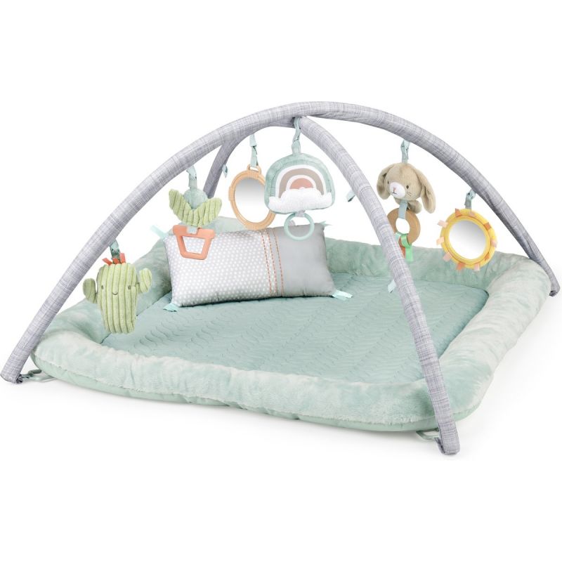 Tapis d'éveil Calm Springs - Reconditionné Ingenuity Produit 1