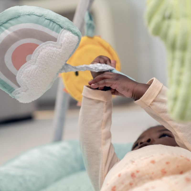 Tapis d'éveil Calm Springs - Reconditionné Ingenuity Produit 6