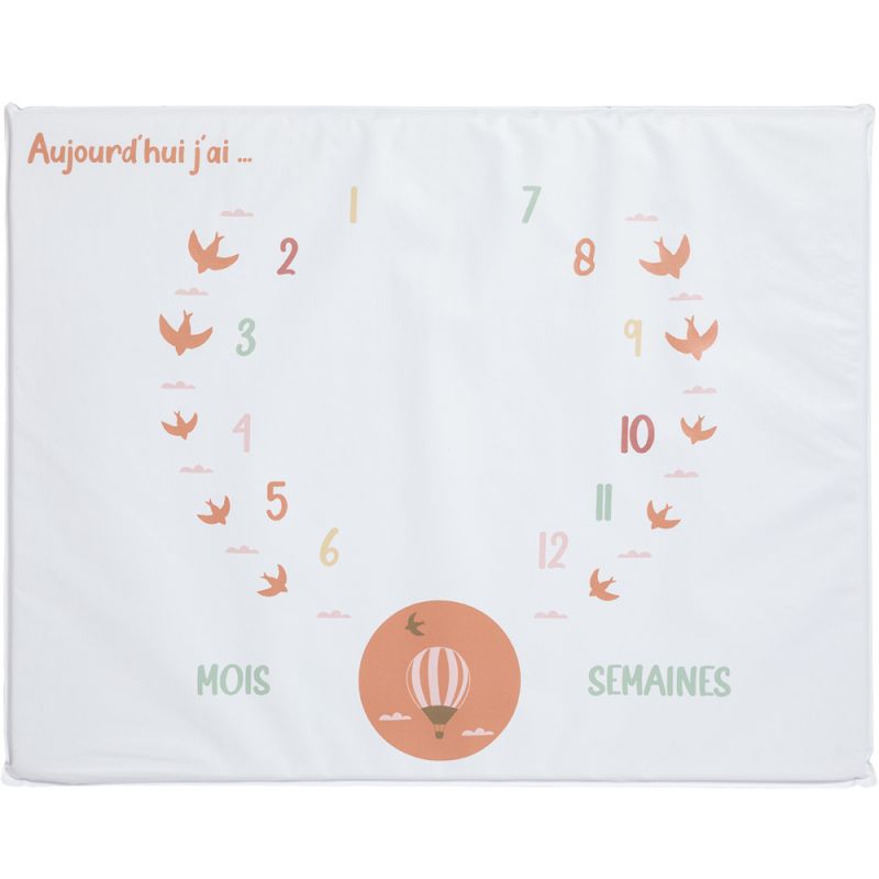 Tapis de jeu avec étapes bébé Rustic retreat Babycalin