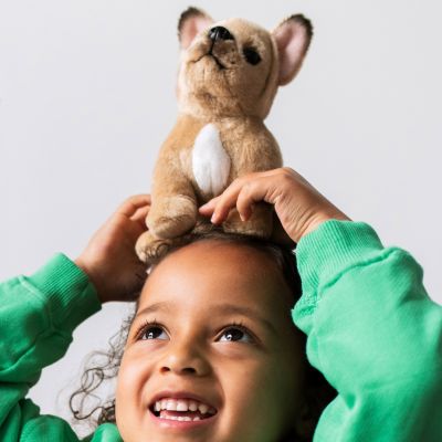 Peluche Philippe le Bulldog Français (17 cm)