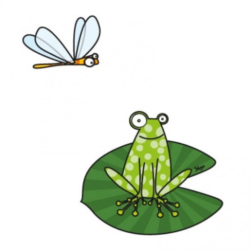 Stickers grenouille sur nénuphar et libellule Série-Golo
