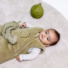 Gigoteuse 4 saisons TOG 2 sans manches Mr. Dino (12-18 mois)