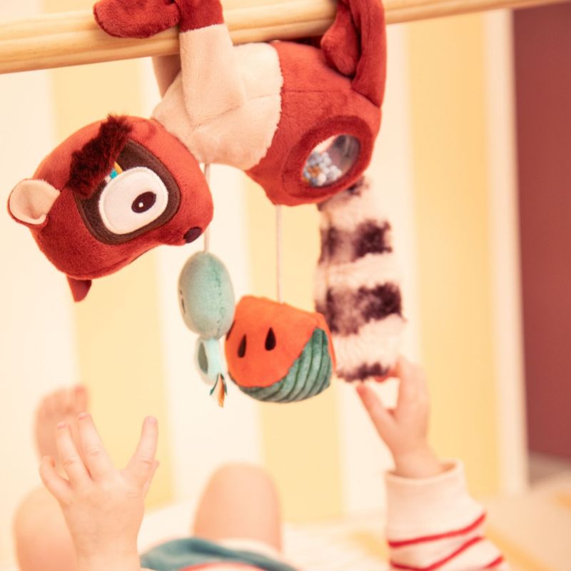 Peluche d'activités Elvis Lilliputiens Ambiance 5