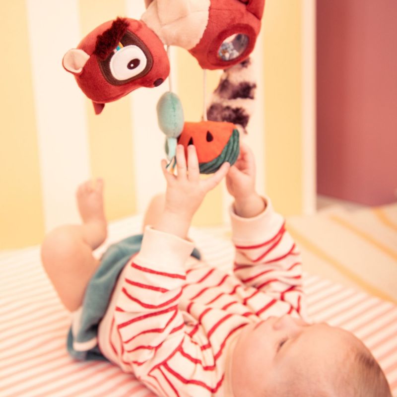 Peluche d'activités Elvis Lilliputiens Ambiance 6