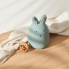 Veilleuse Winston lapin peppermint (14 cm) - Reconditionné  par Liewood