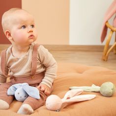 Hochet Lapinoo Pêche