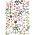 Planche de stickers A3 fleurs Queyran - Lilipinso