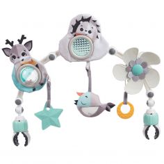 Arche articulée pour poussette Black & White - Tiny Love