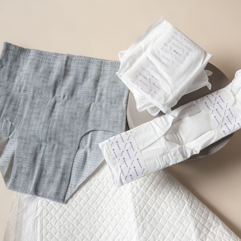 Kit de protection anti-fuites Postpartum Lansinoh Ambiance 2