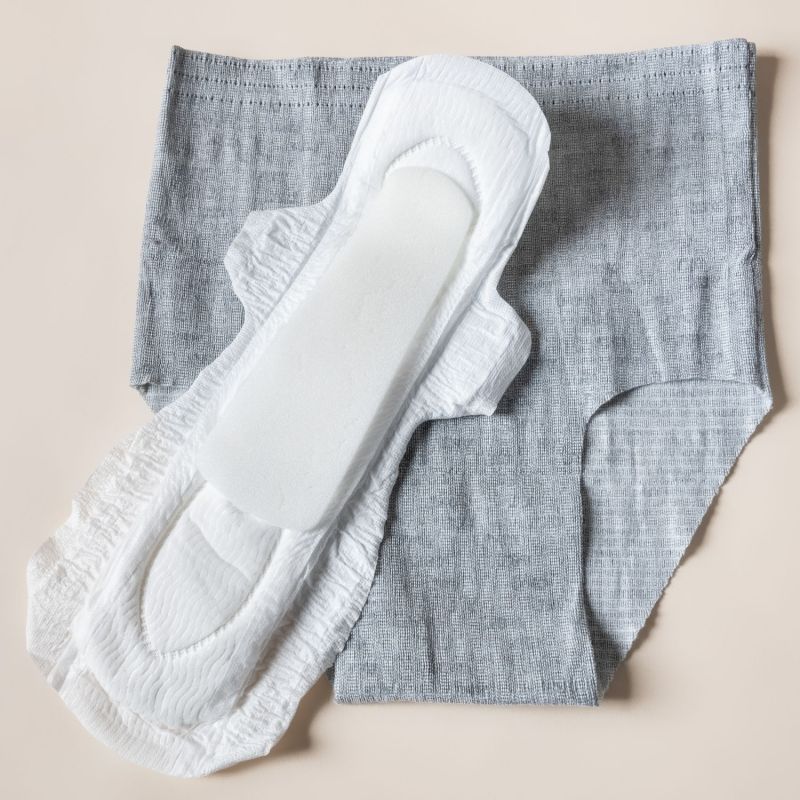 Kit de protection anti-fuites Postpartum Lansinoh Ambiance 4