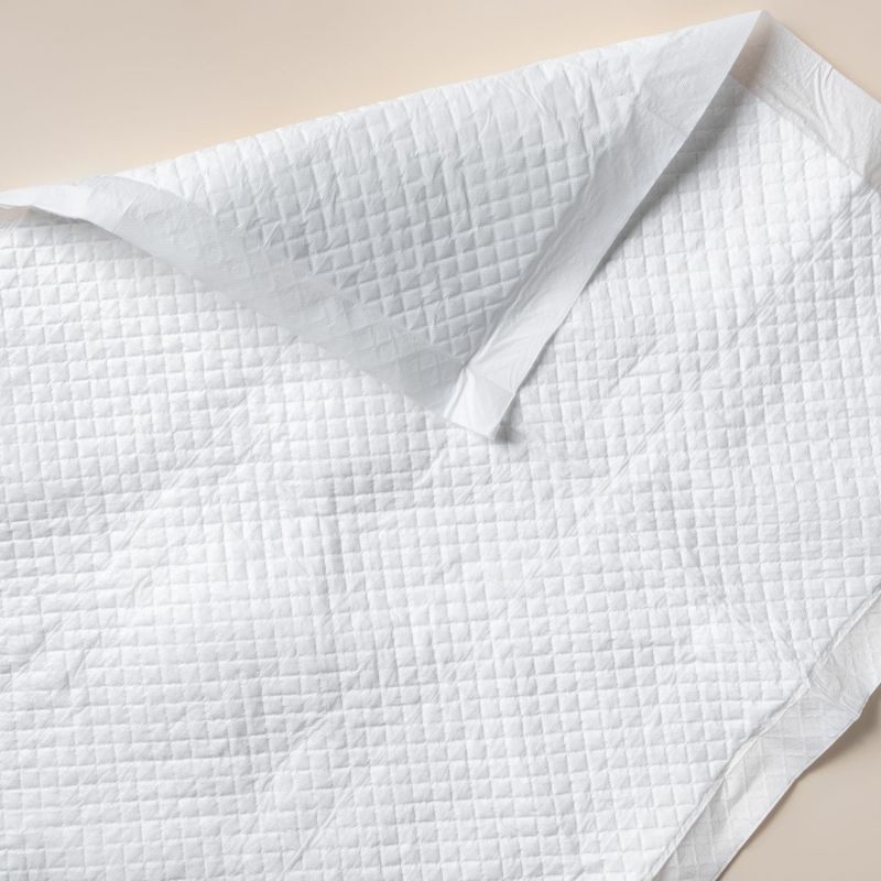 Kit de protection anti-fuites Postpartum Lansinoh Ambiance 6