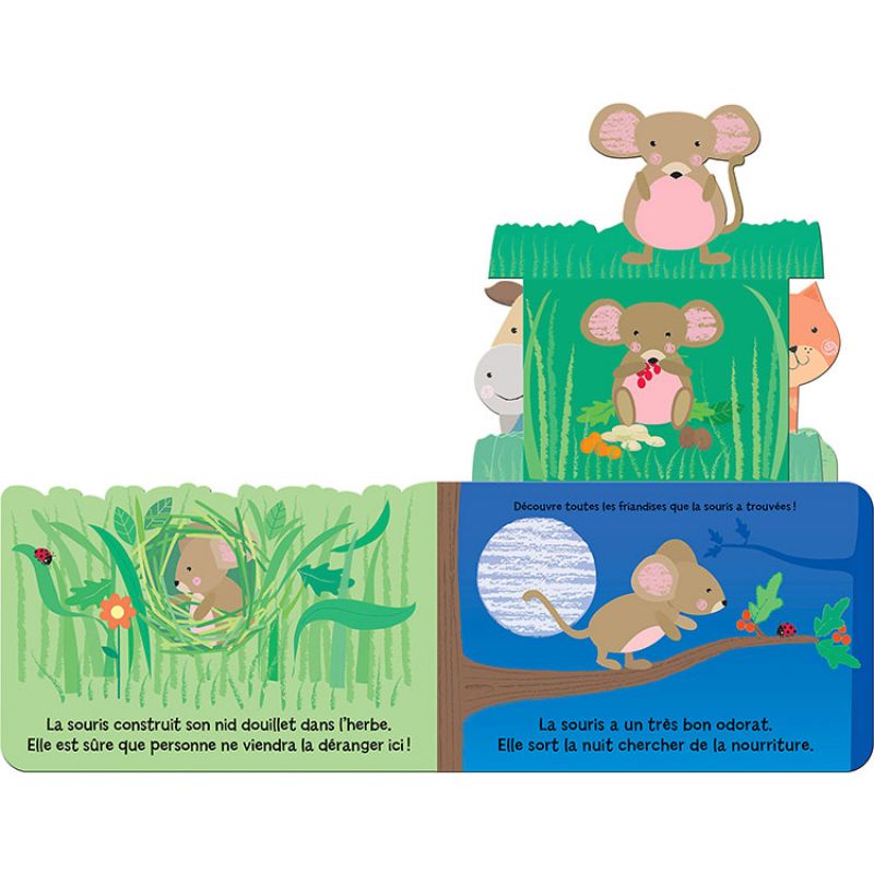 Livre Qui se cache dans le jardin ? - Reconditionné Editions Kimane Produit 3