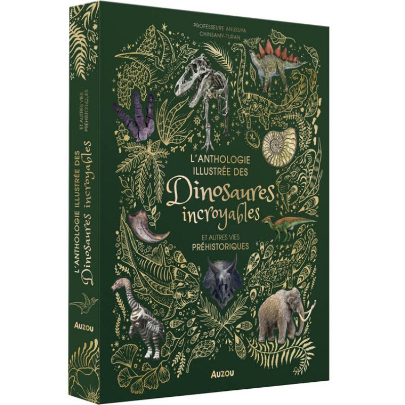 Livre L'anthologie illustrée des dinosaures incroyables et autres vies préhistoriques Auzou Editions