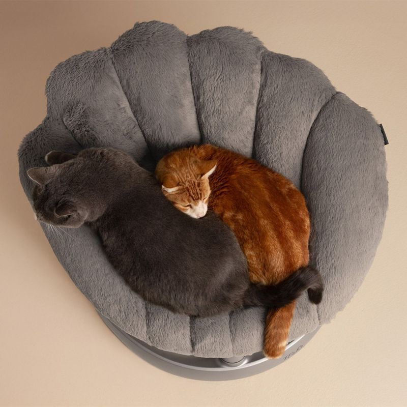 Lit pour animaux de compagnie et fauteuil suspendu SHELL LUNAR Tavo Ambiance 7