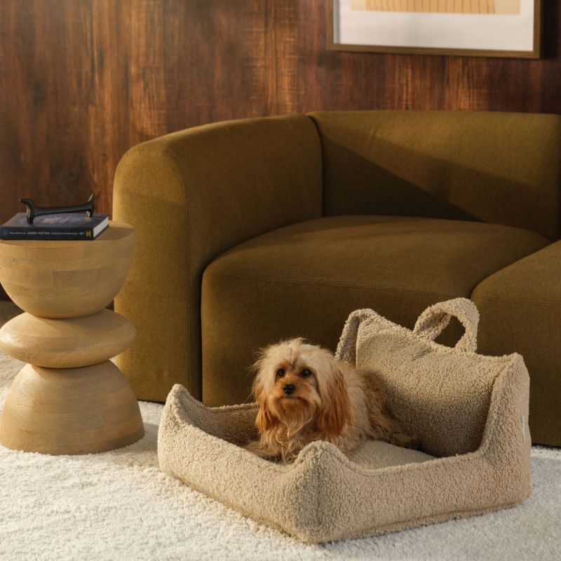 Fauteuil pour animaux M Biscuit Wigiwama Ambiance 2