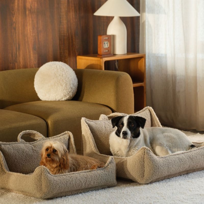 Fauteuil pour animaux M Biscuit Wigiwama Ambiance 3