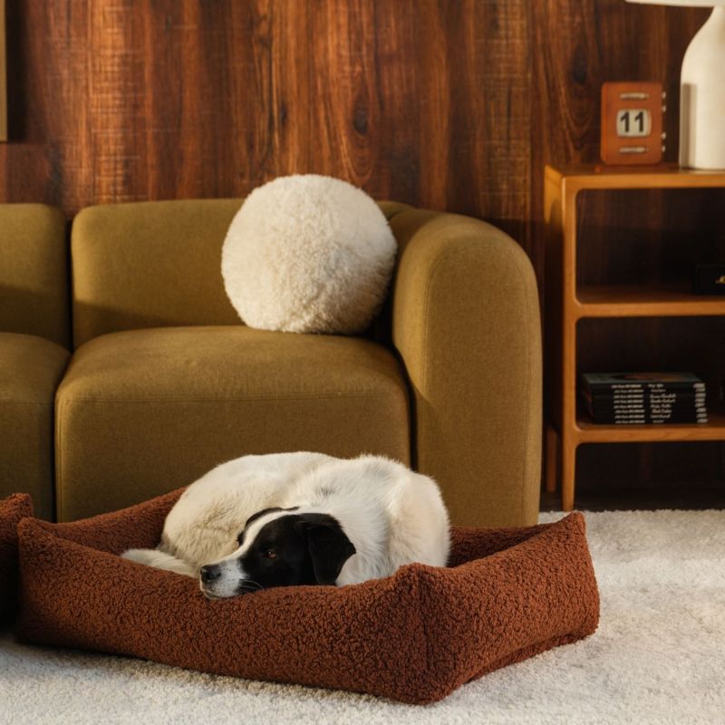 Lit douillet pour animaux L Warm Hazel Wigiwama Ambiance 2