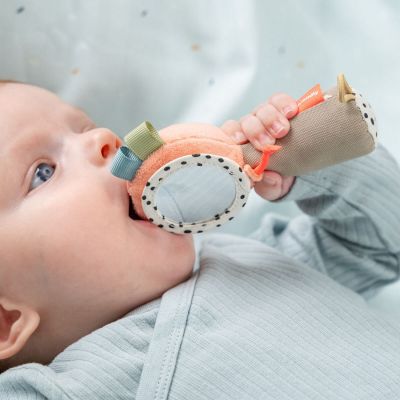 Coffret hochet d'éveil et miroir Celebration Multicolore