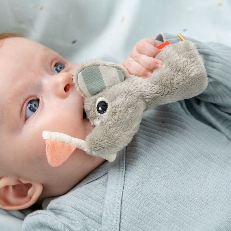 Coffret hochet d'éveil et miroir Celebration Multicolore Done by Deer Ambiance 4