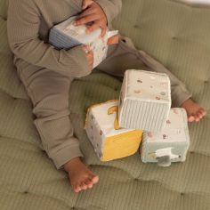 Lot de 4 cubes doux Little Farm