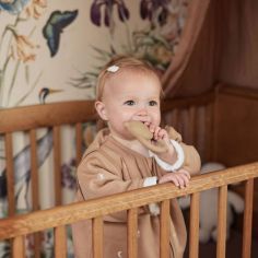 Anneau de dentition caoutchouc ours Biscuit