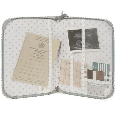 Protège carnet de santé Icon Green