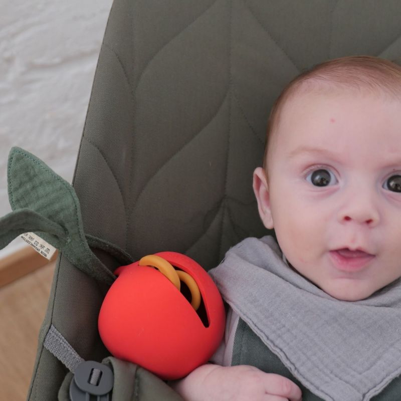 Range sucette Pepa la Pomme Oli & Carol Ambiance 6